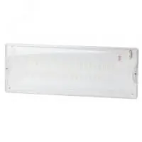 Аварийный светильник DPA-301-1-65 постоянный 40LED 3ч IP65 NiCD в Москве Аварийный светильник DPA-301-1-65 постоянный 40LED 3ч IP65 NiCD